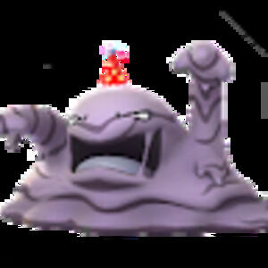 Meet your Posher, Elisa lee